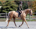 andy_0203.jpg