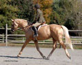 andy_0204.jpg