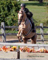 andy_0222.jpg