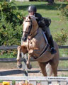 andy_0224.jpg