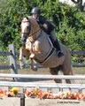 andy_0226.jpg