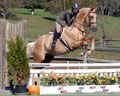 andy_0228.jpg
