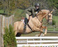 andy_0230.jpg
