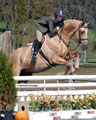 andy_0231.jpg