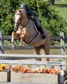 andy_0233.jpg