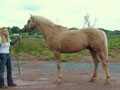 dsc00204.jpg