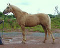 dsc00209.jpg