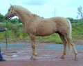 dsc00210.jpg