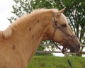 dsc00216.jpg