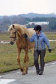 dsc02267.jpg